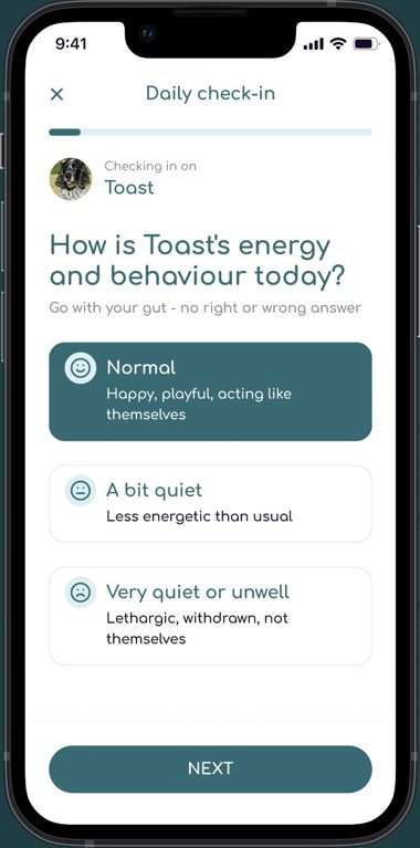 Daily check-in screen in the Pet 24-7 app asking about Toast's energy and behaviour