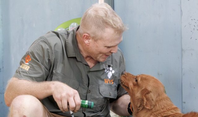 Dr Luke Gamble treating a dog in the field with Worldwide Veterinary Service and Mission Rabies